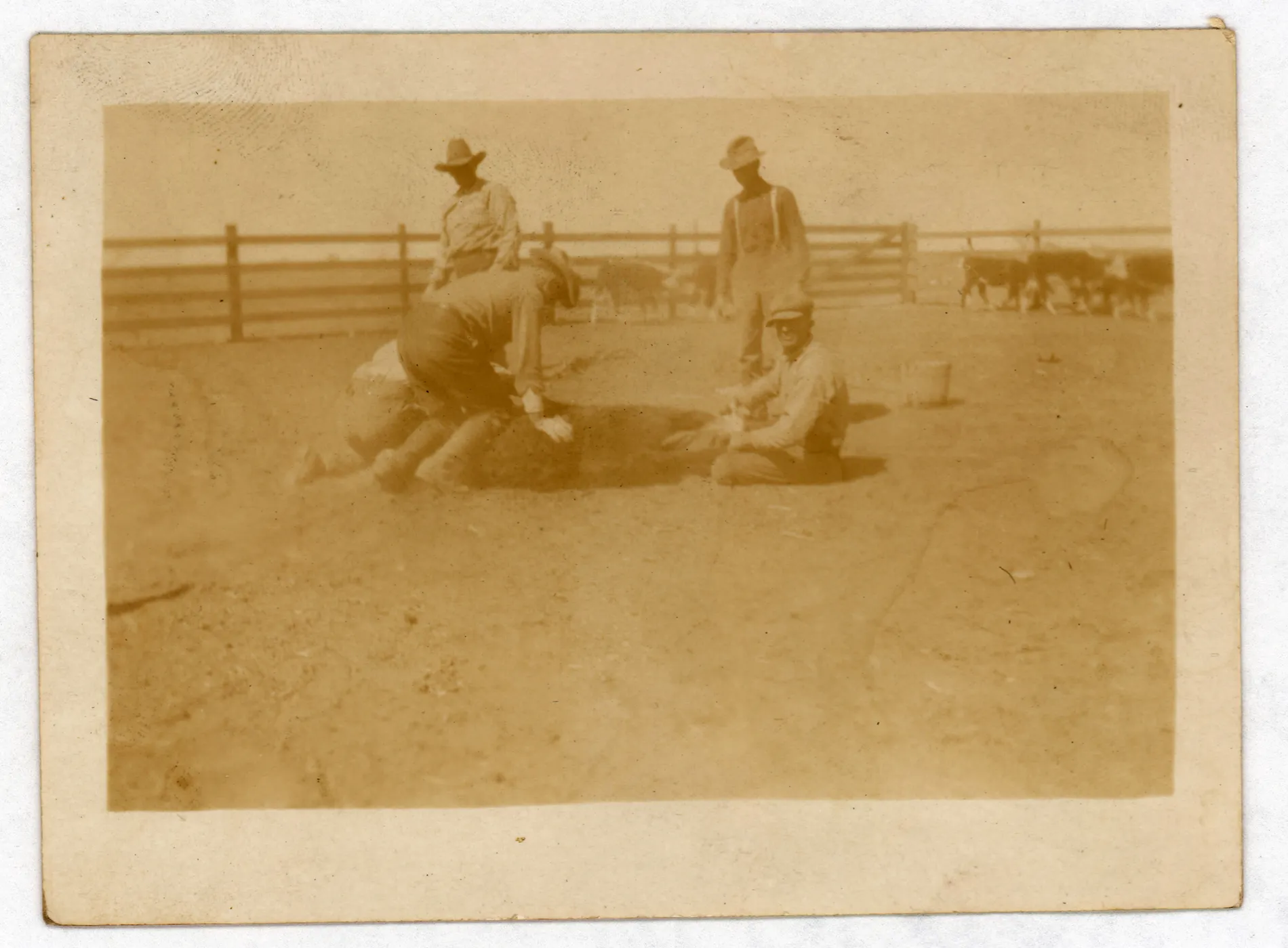 Color enhanced version: [Sam McKinstry cattle branding]