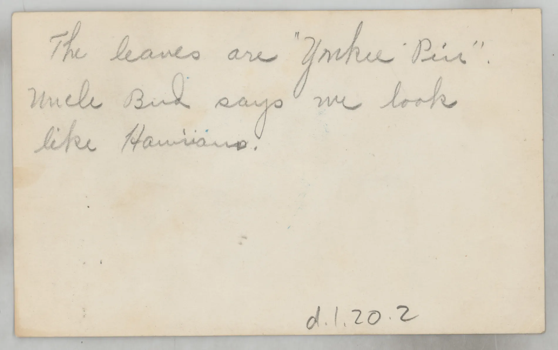 Verso: [Loveta, Sammy, Jean, and Mildred McKinstry in outfits with large hats]