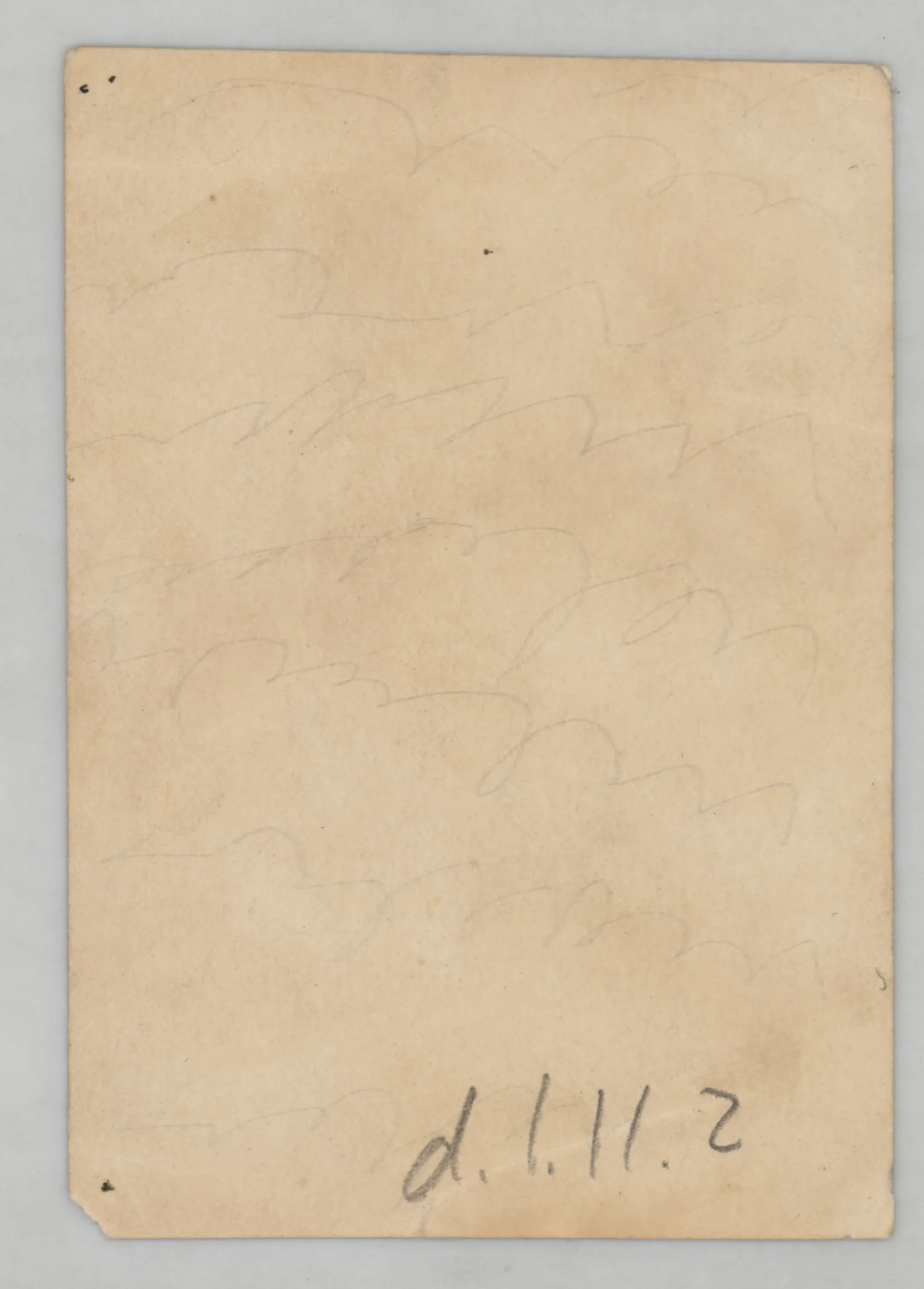 Verso: [Sammy McKinstry holding a flower standing next to a garden bed]