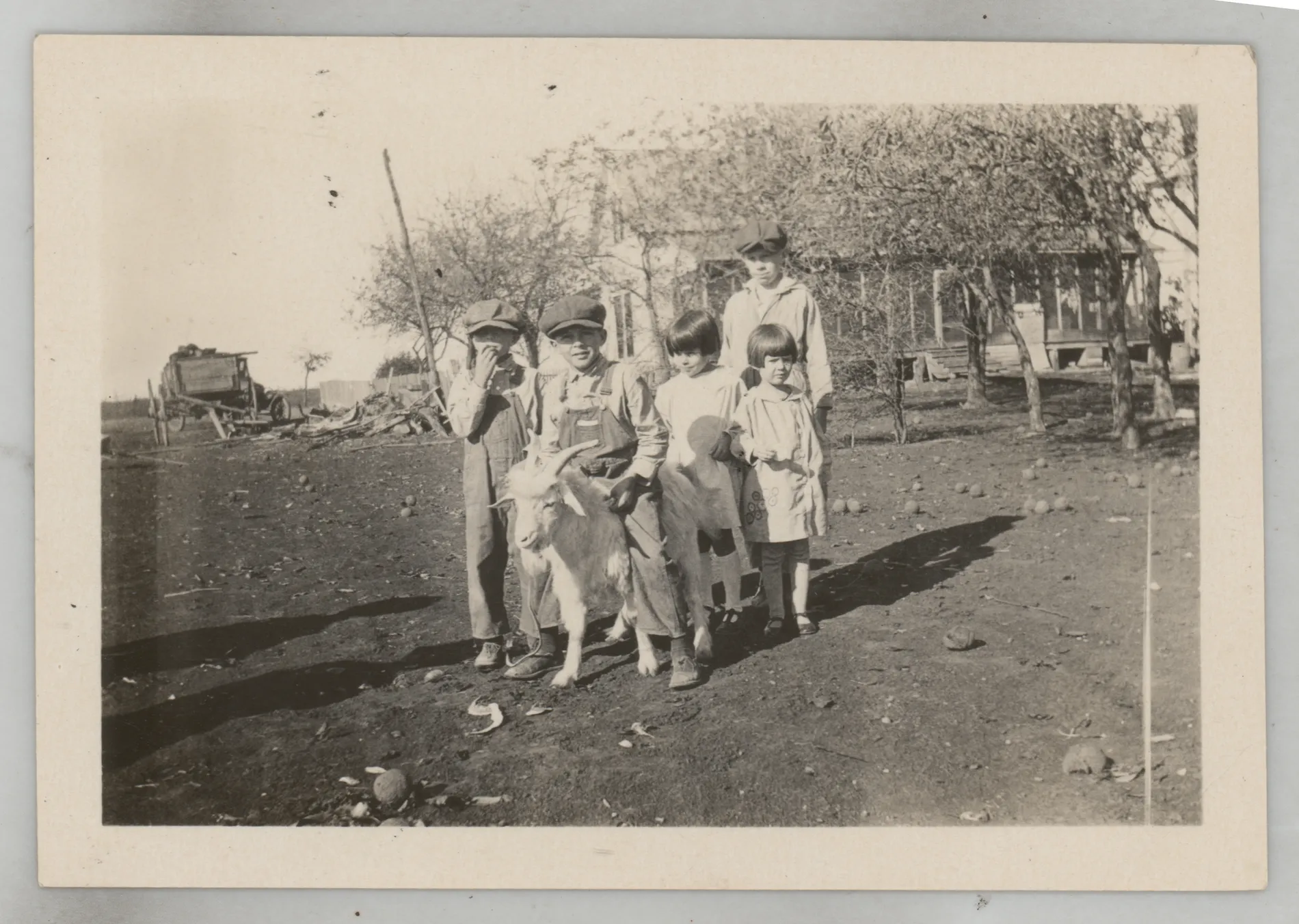 This photograph depicts Sammy McKinstry standing with four other children near a white goat.