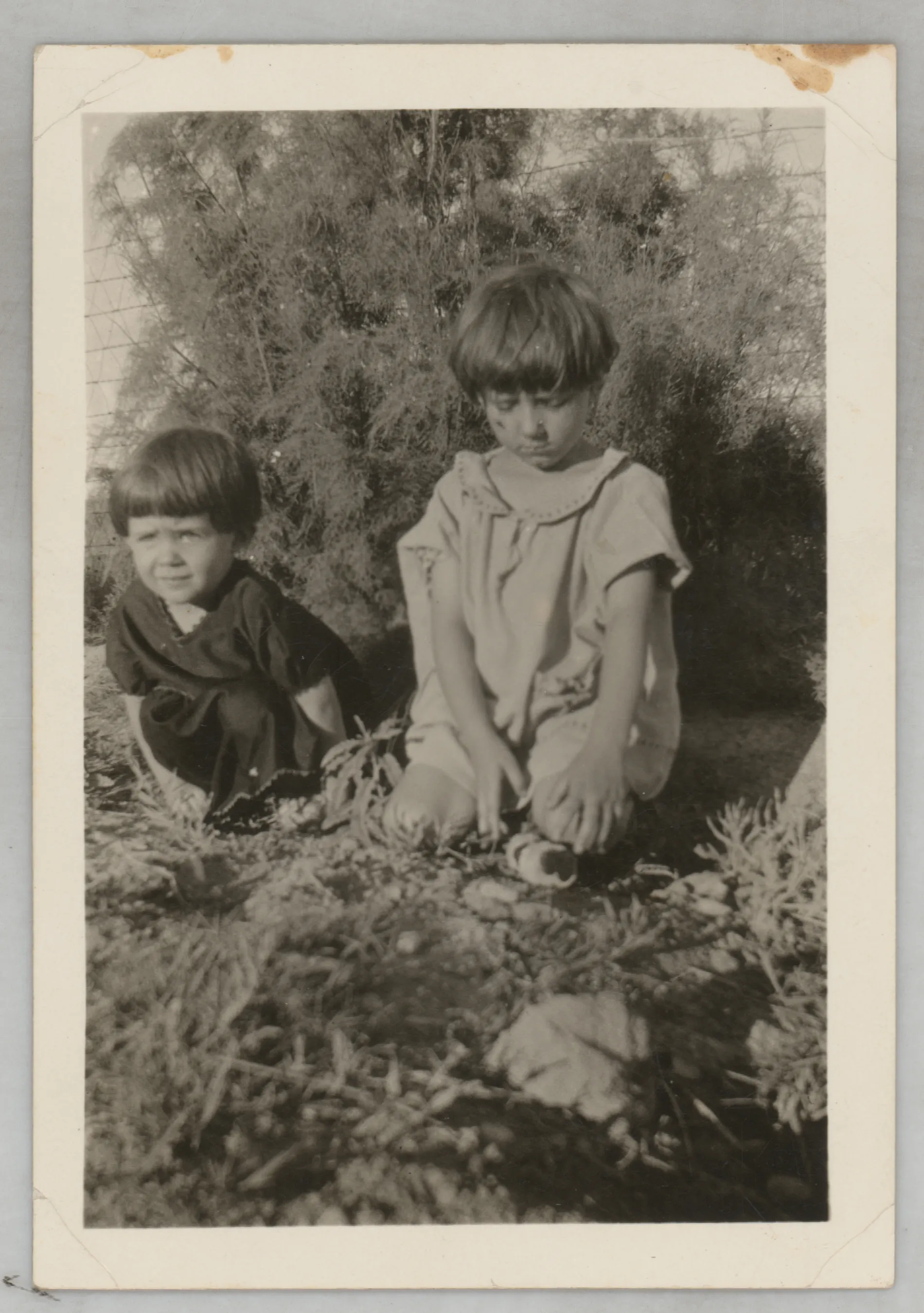 Sara Beth West Wakeman, from [Sammy McKinstry and Sara Beth West peering at vegetation]