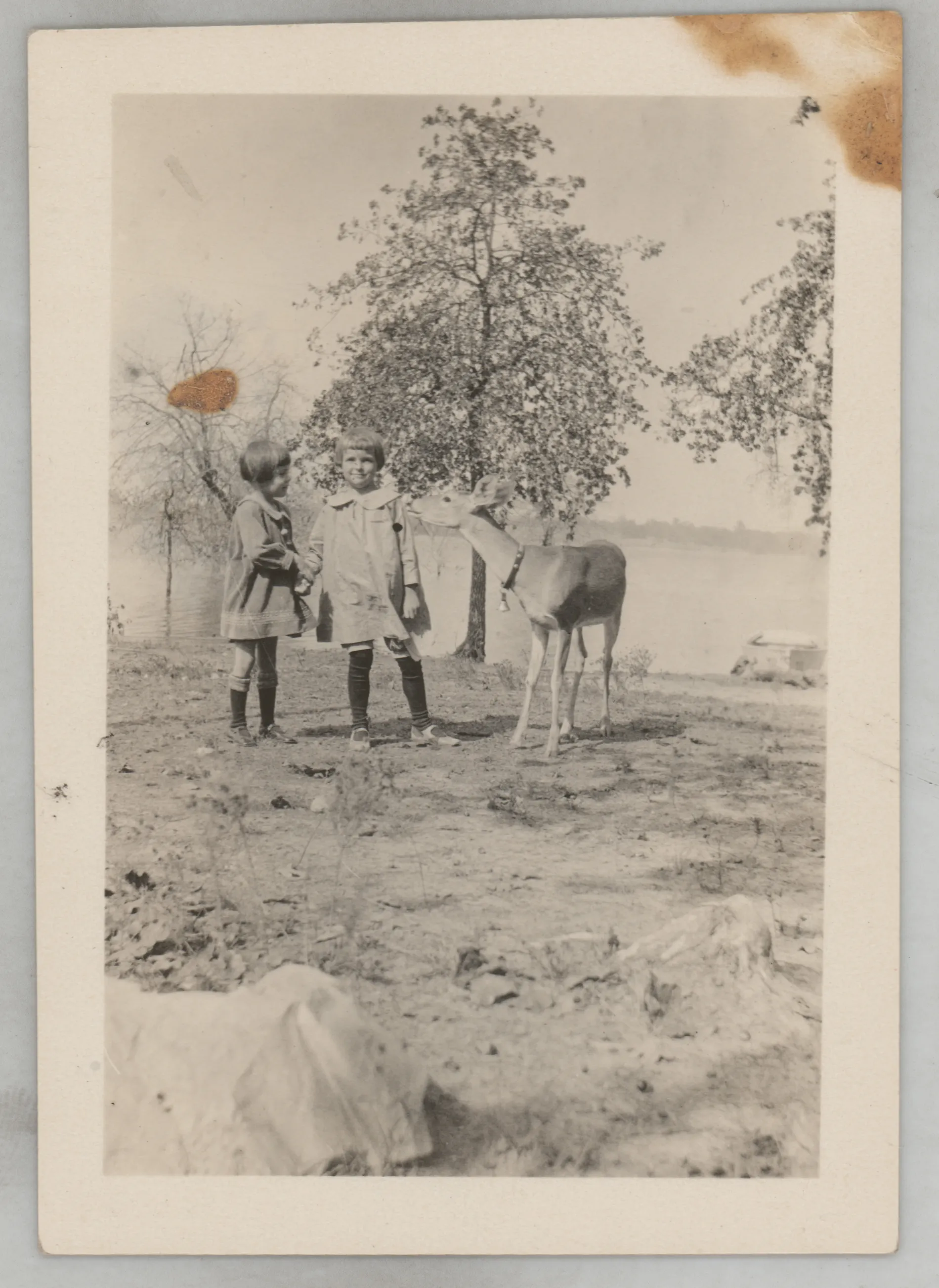 This photograph depicts Sammy McKinstry and her cousin Sara Beth West standing next to a deer that is wearing a collar.