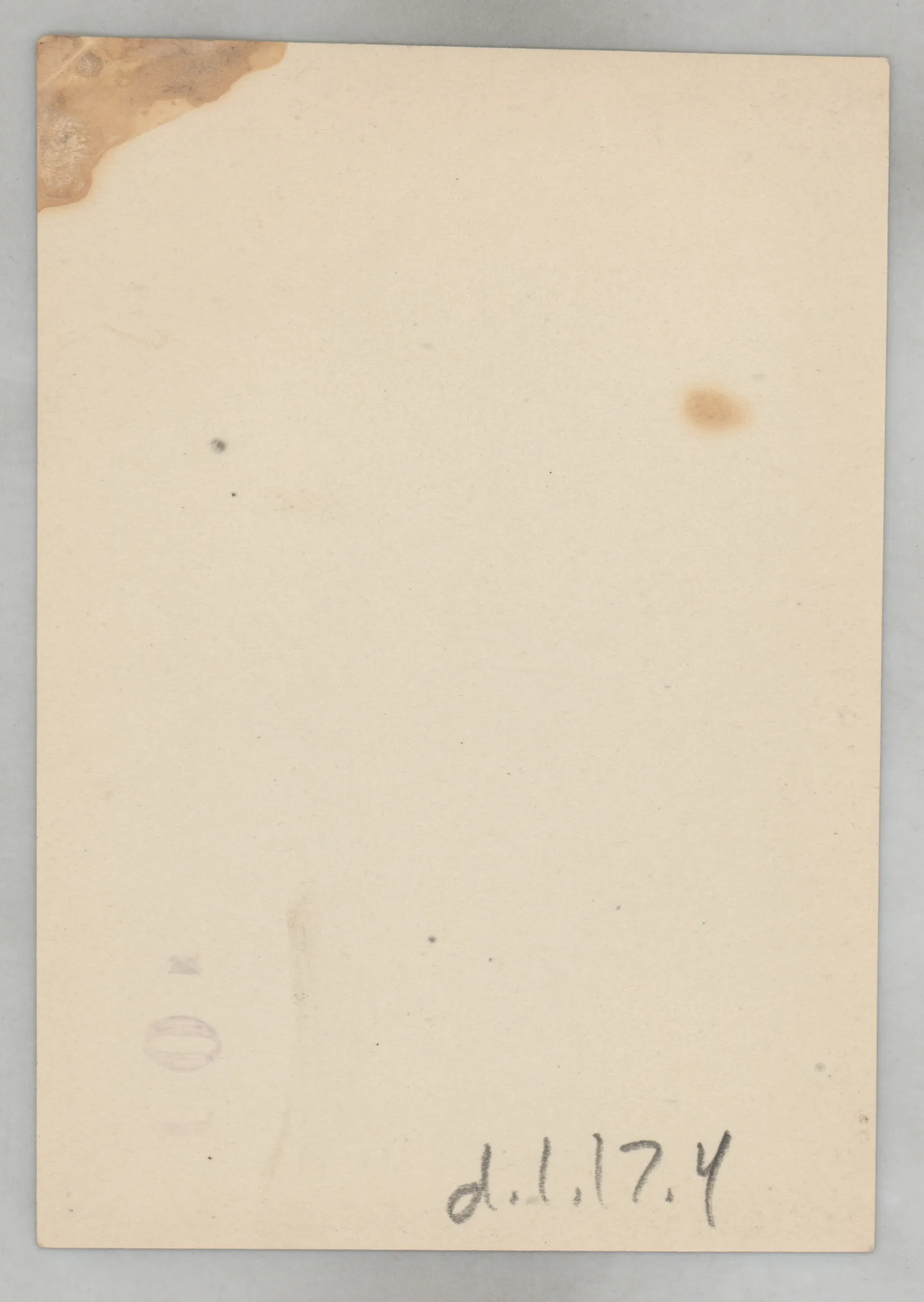 Verso: [Sammy McKinstry and Sara Beth West standing next to a deer]