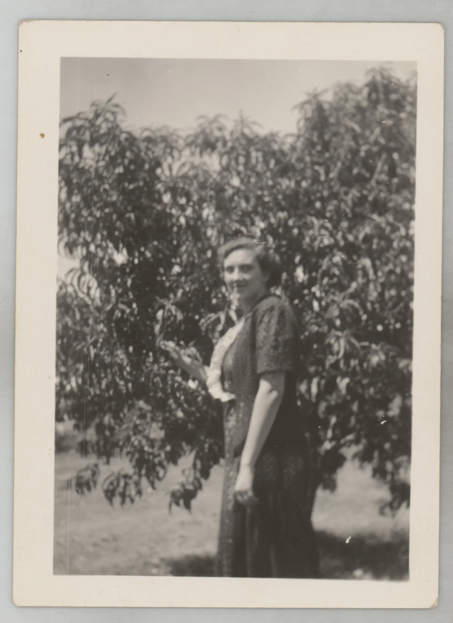 This photograph depicts Sara Beth West in a dress standing next to a tree.