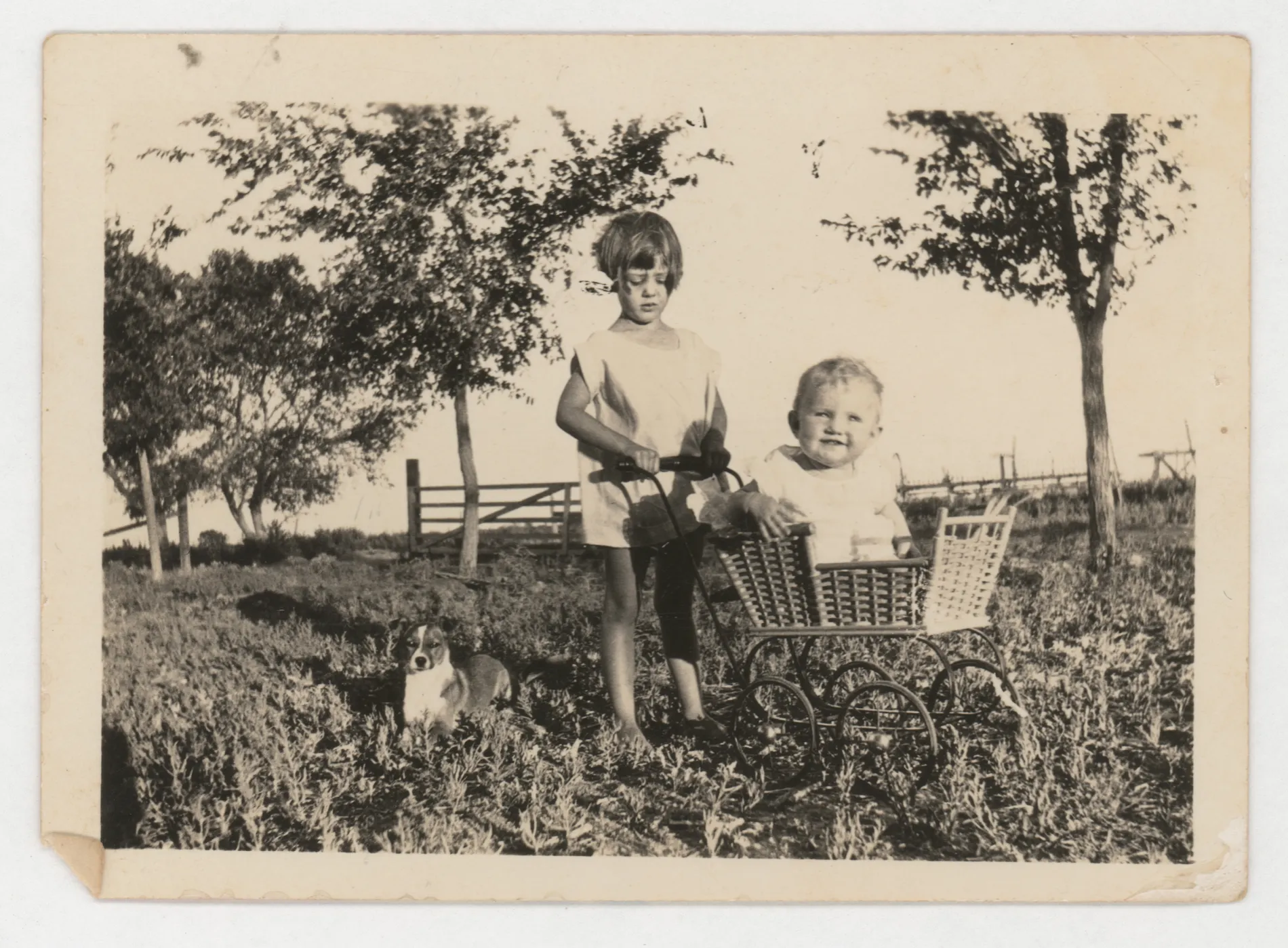 This photograph depicts Jean McKinstry pushing Peggy McKinstry in a whicker stroller. Dirk the dog can be seen on the ground.