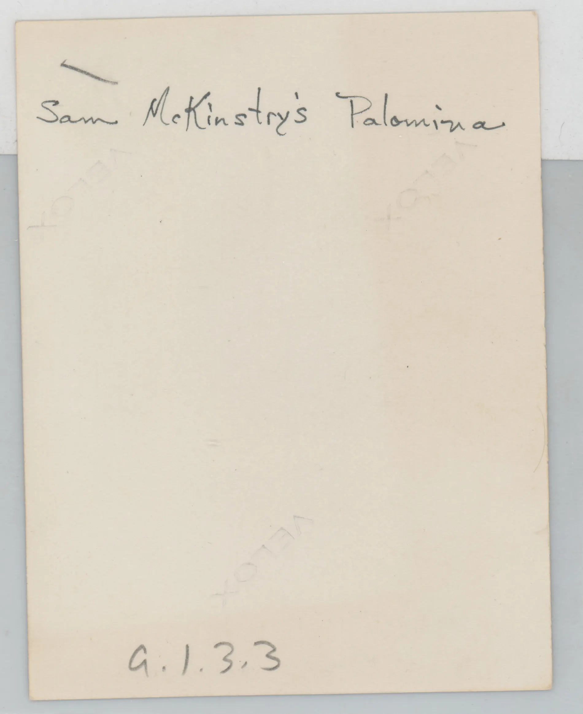 Verso: [Sam McKinstry's Palomina]