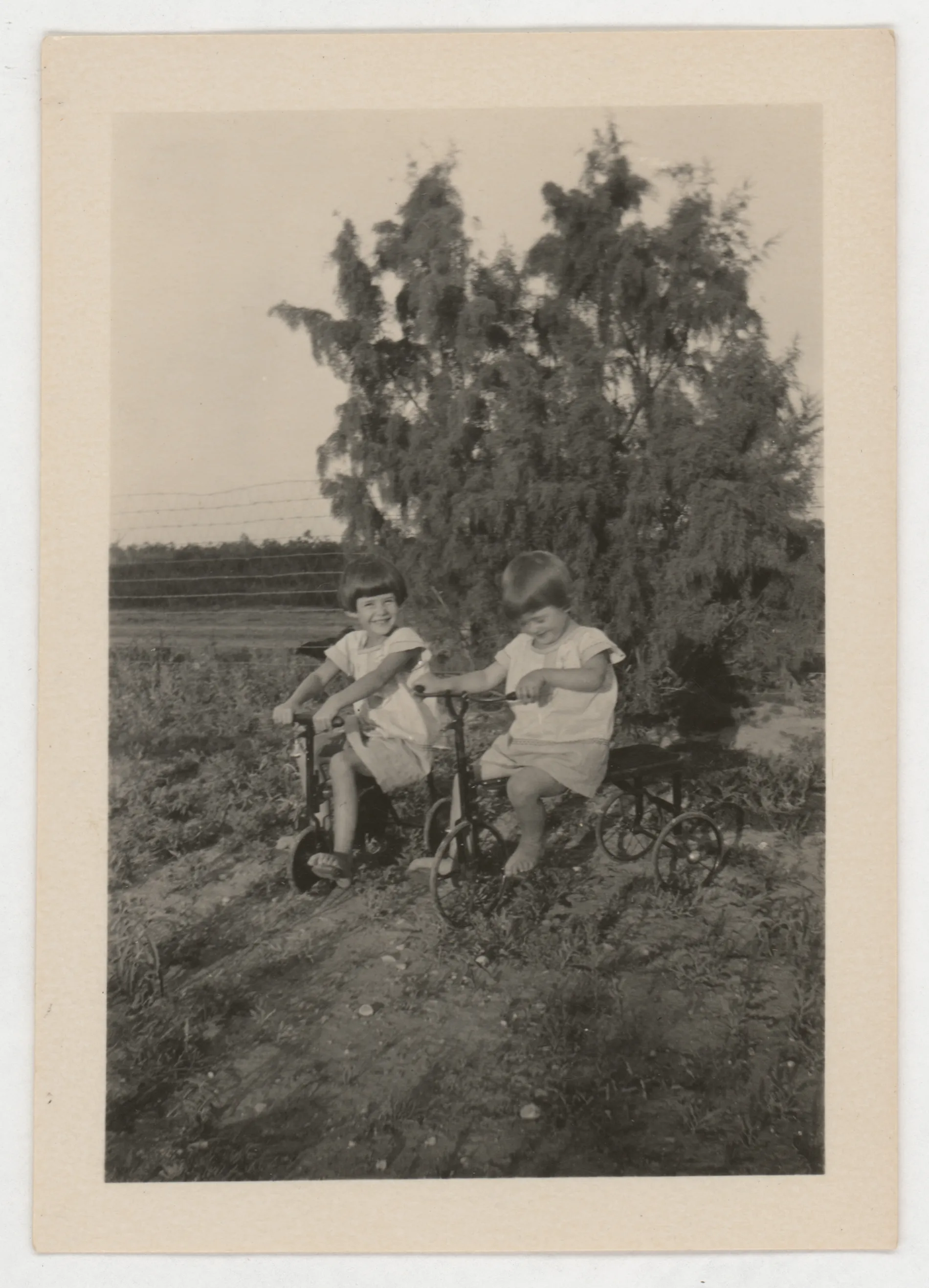 This photograph depicts Sammy and Jean McKinstry riding tricycles near a tree.