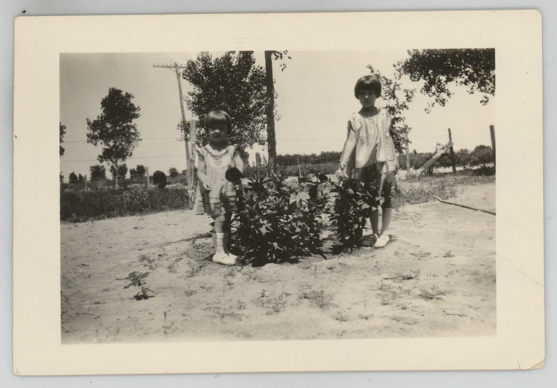 This photograph depicts Sammy and Jean McKinstry next to a bed of flowers, possible zinnias.