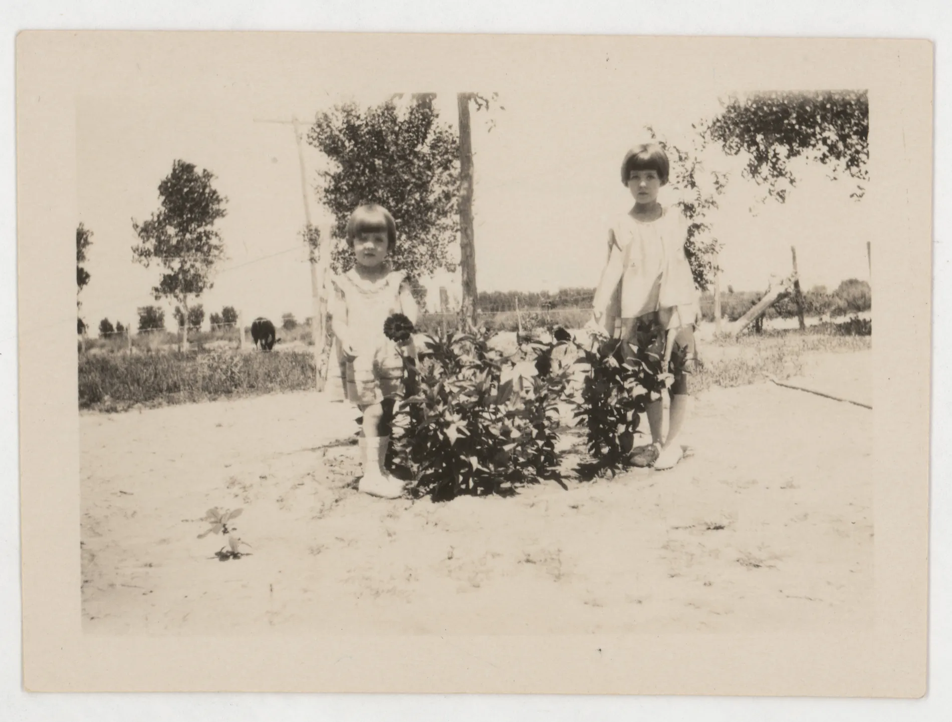 This photograph depicts Sammy and Jean McKinstry in front of flowers.