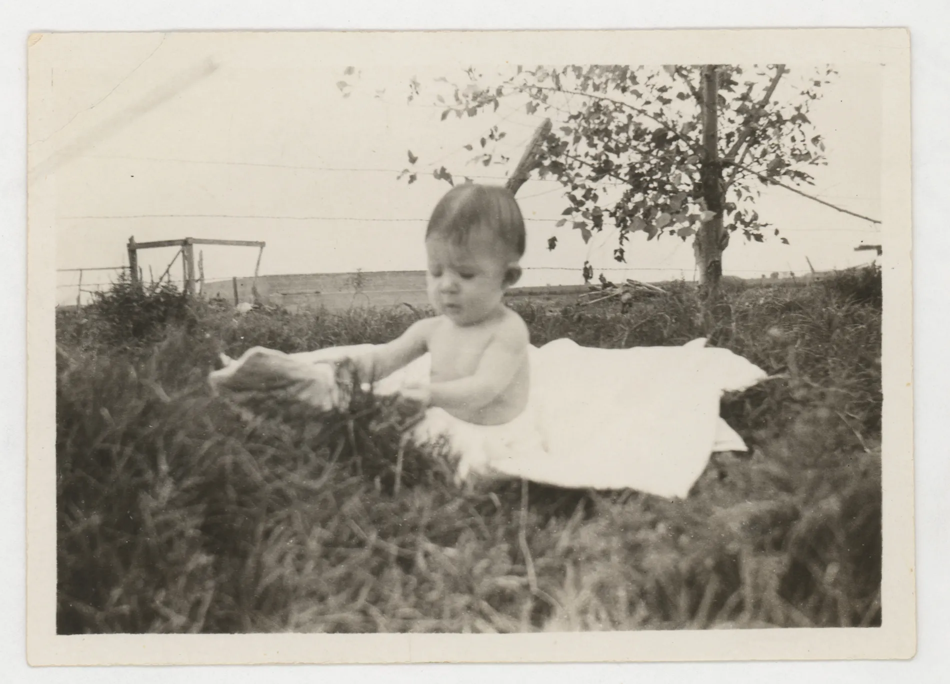 This photograph depicts Sammy McKinstry on the ground as a young infant.