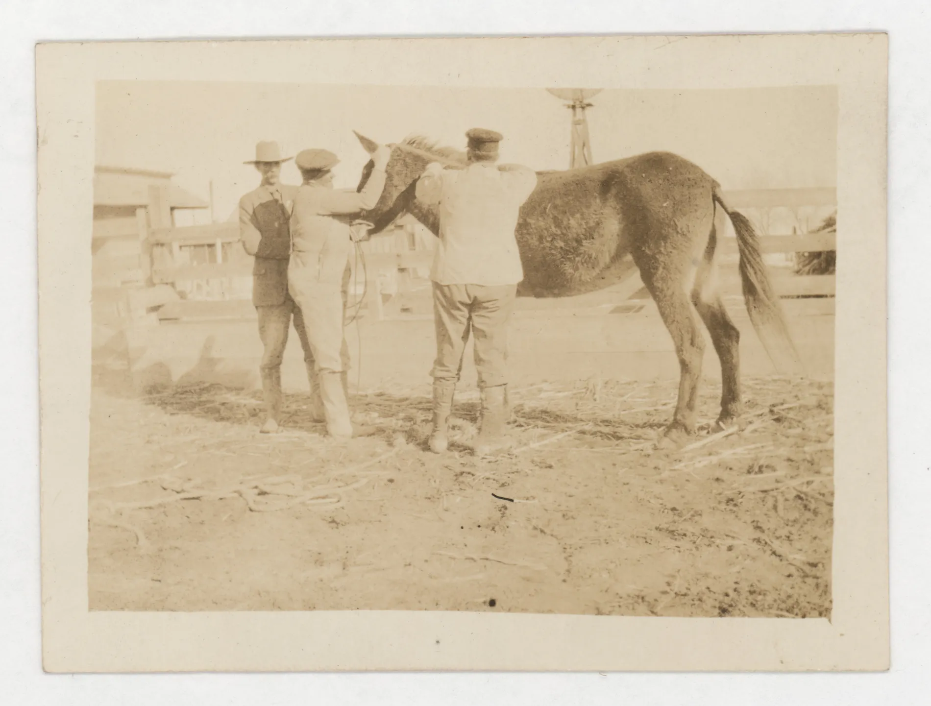 This photograph shows three unidentified men with a horse.
