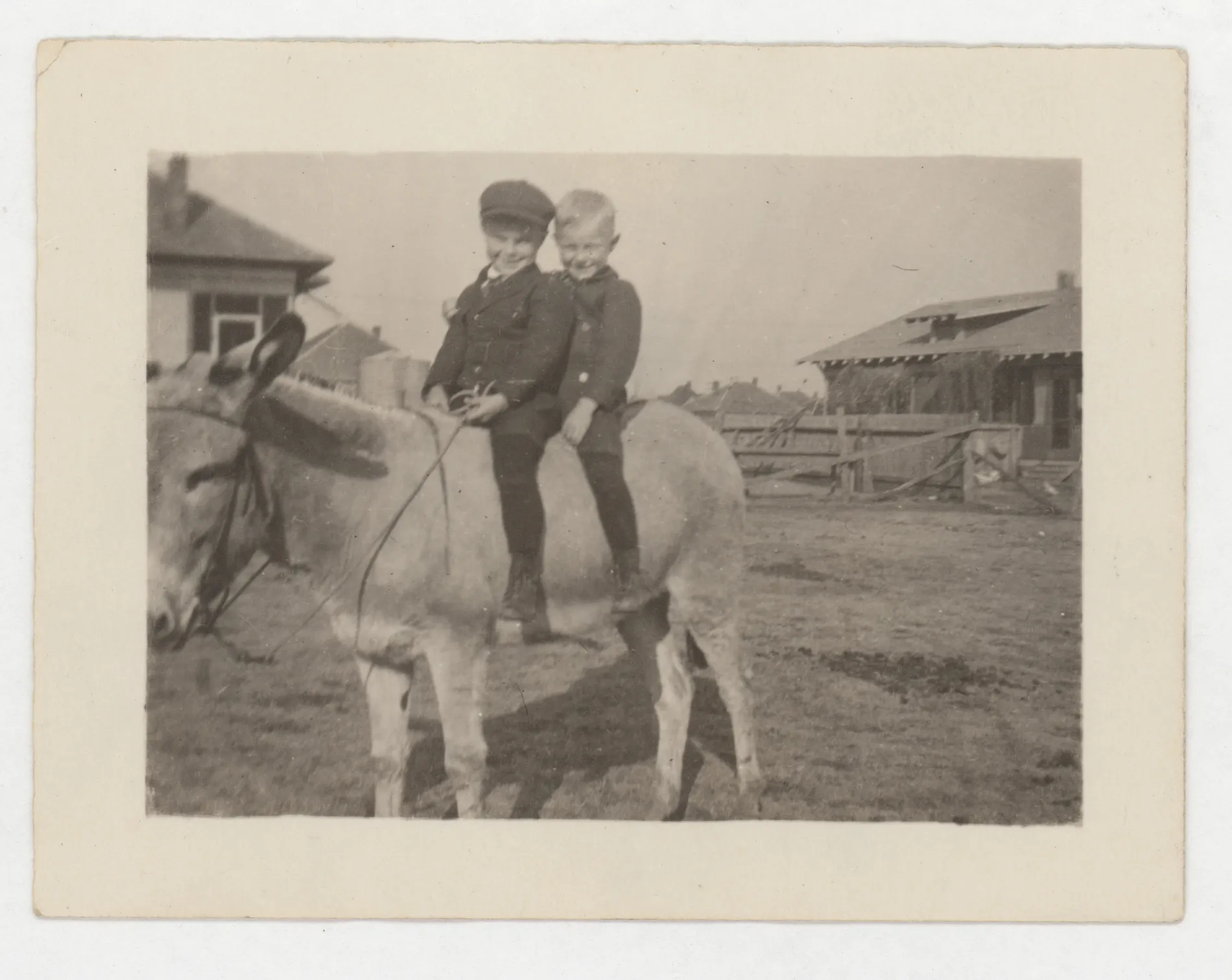 This photograph shows two unidentified boys on a donkey.