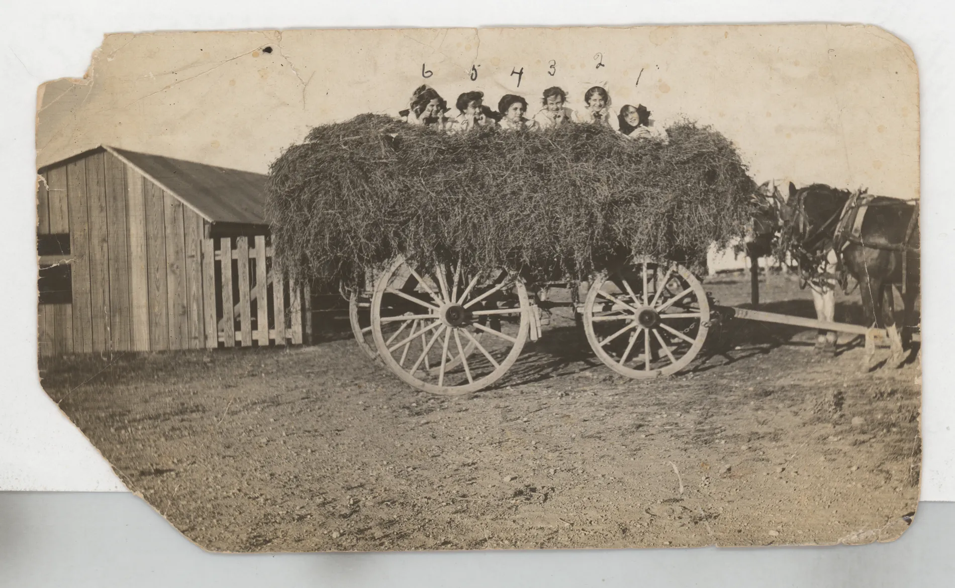 This photograph depicts six girls on top of hay in a wagon. The verso of this photograph identifies some one as "me," but it is unclear if this would be Loveta Swann or Mable Swann. Mable's name is at the top, but other information suggests this may be Loveta. The verso inscription also says "Tere are only a few of the N.M. toughs." By this time the Austin Swann family had moved to New Mexico, so I believe this photograph was taken there, making it more likely that this photograph depicts Loveta.