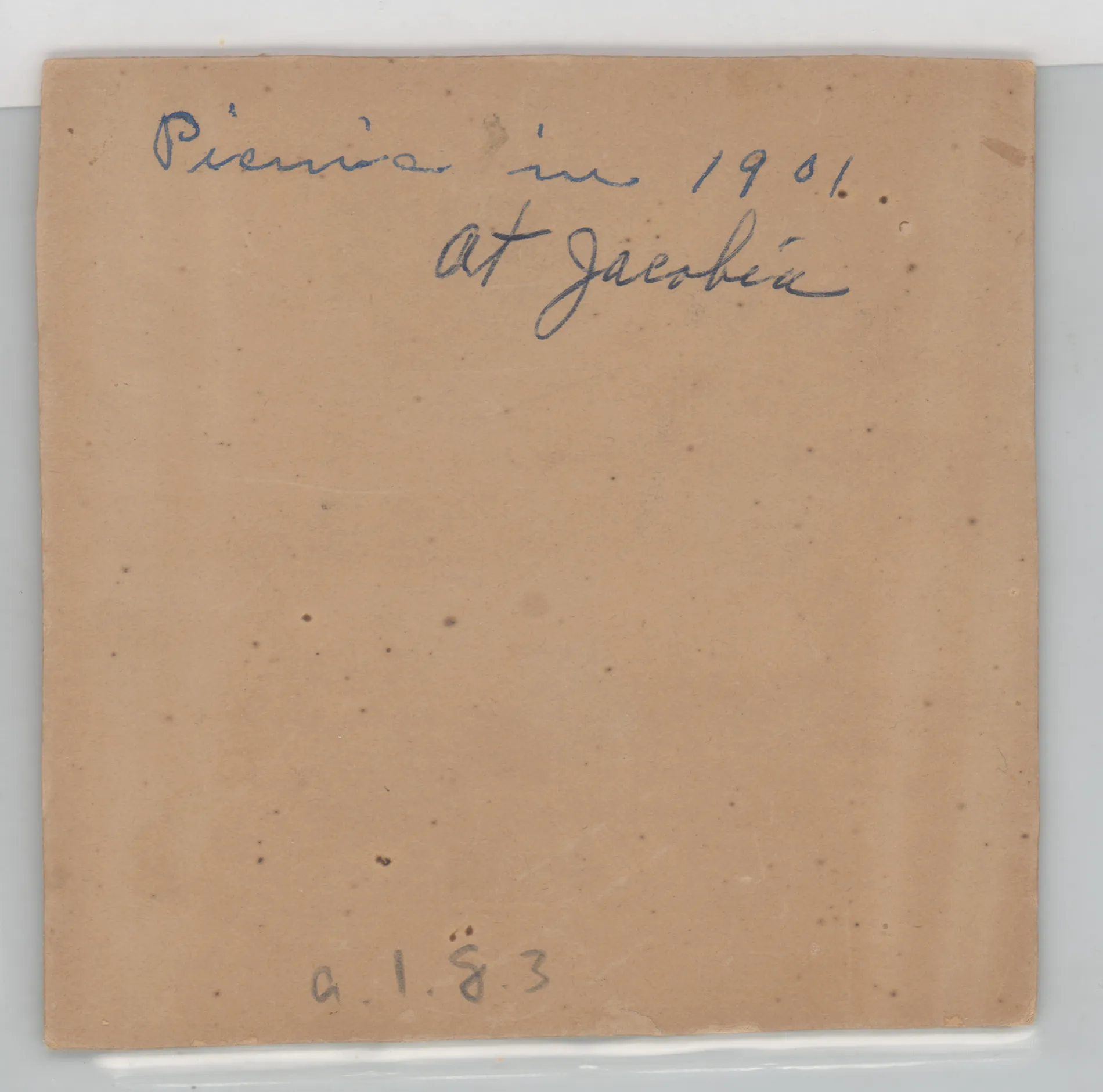 Verso: Picnic in 1901 at Jacobia