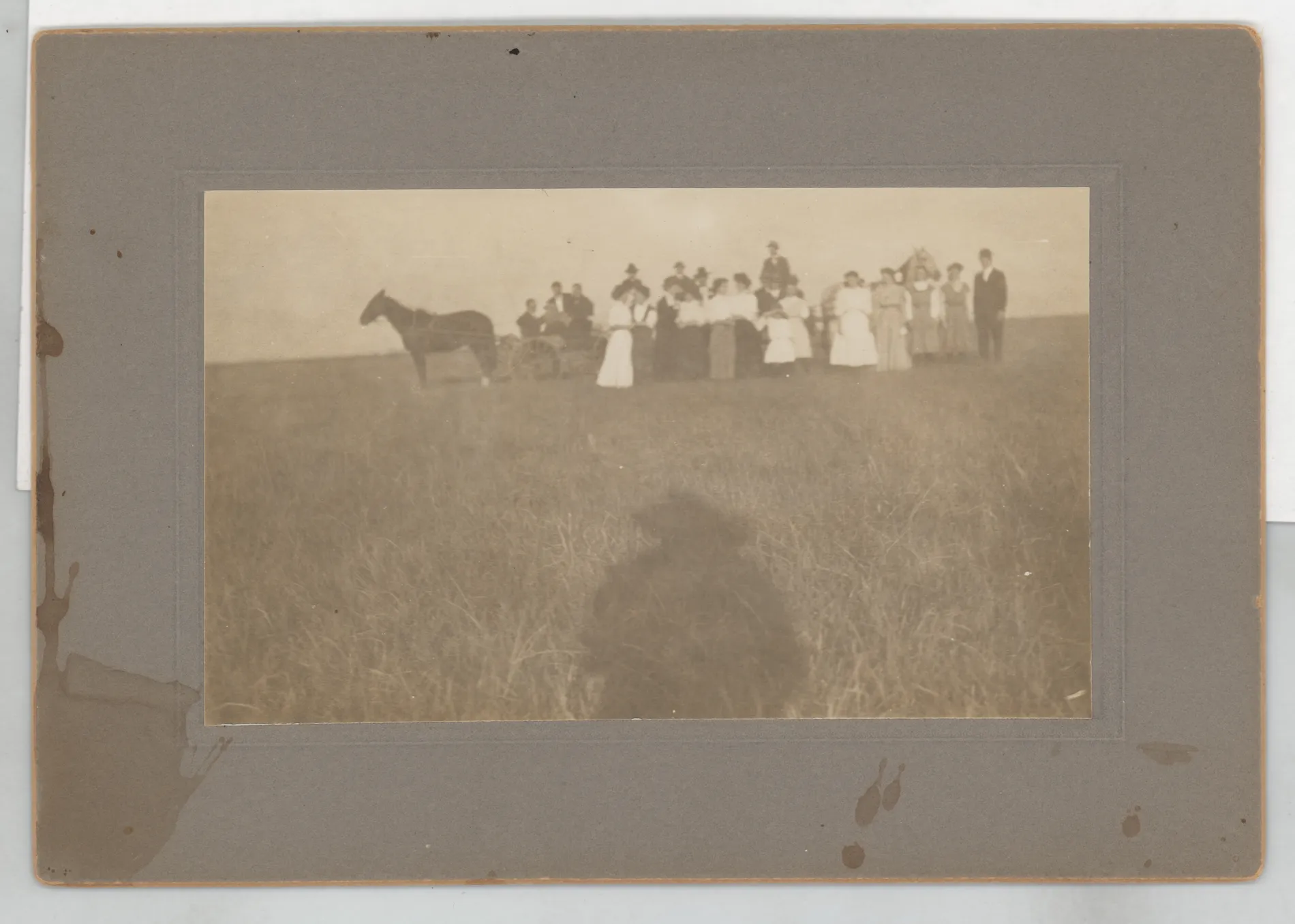 This photograph depicts a group of people with a horse and wagon. None of the individuals are identifiable. This may have been taken on a return trip the Austin Swanns made to Jacobia after they moved to New Mexico.