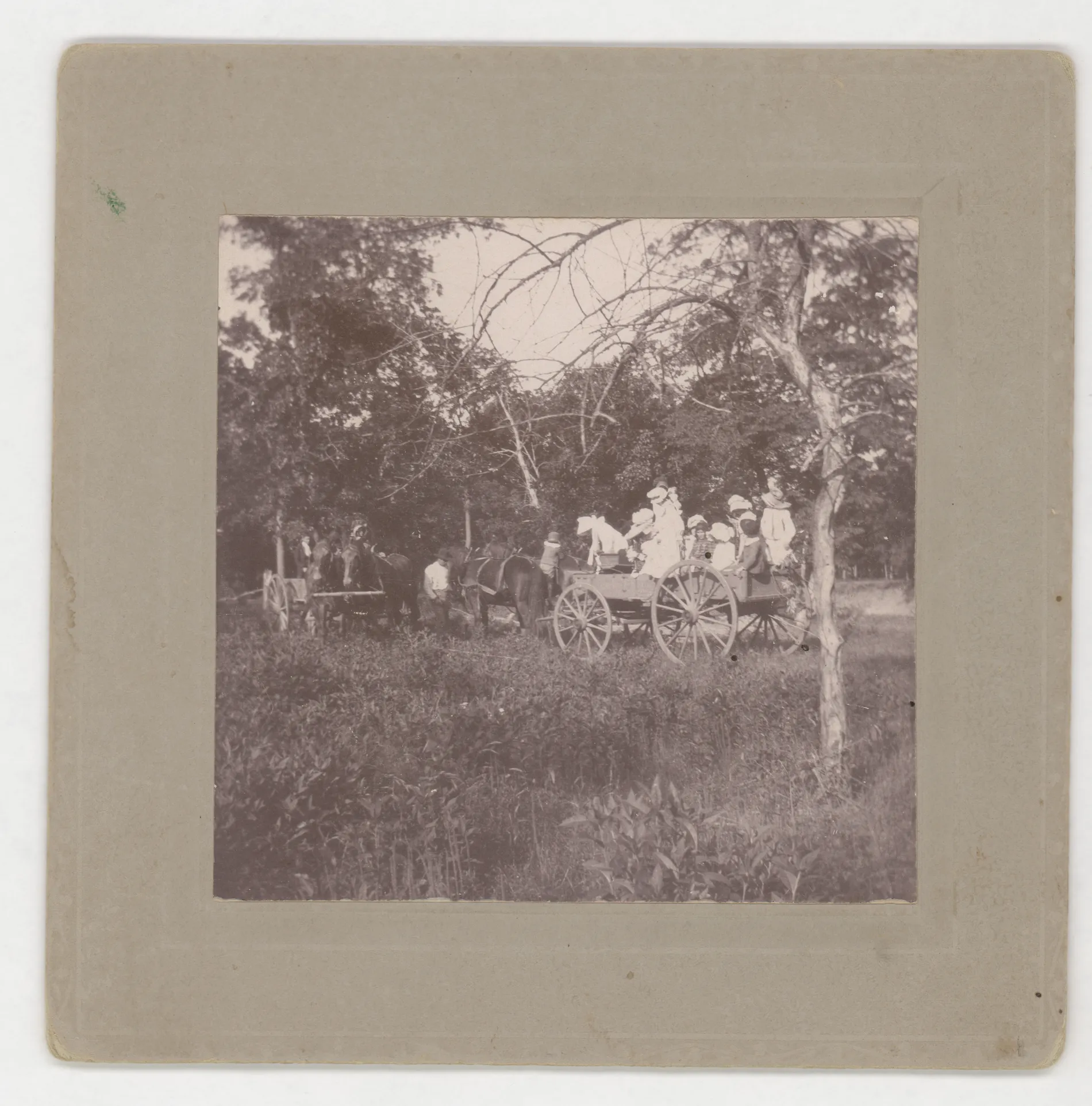 This photograph depicts a picnic at Jacobia in the year 1900. Loveta Swann is noted to be standing on the back of the wagon, but it is unclear which person she is.