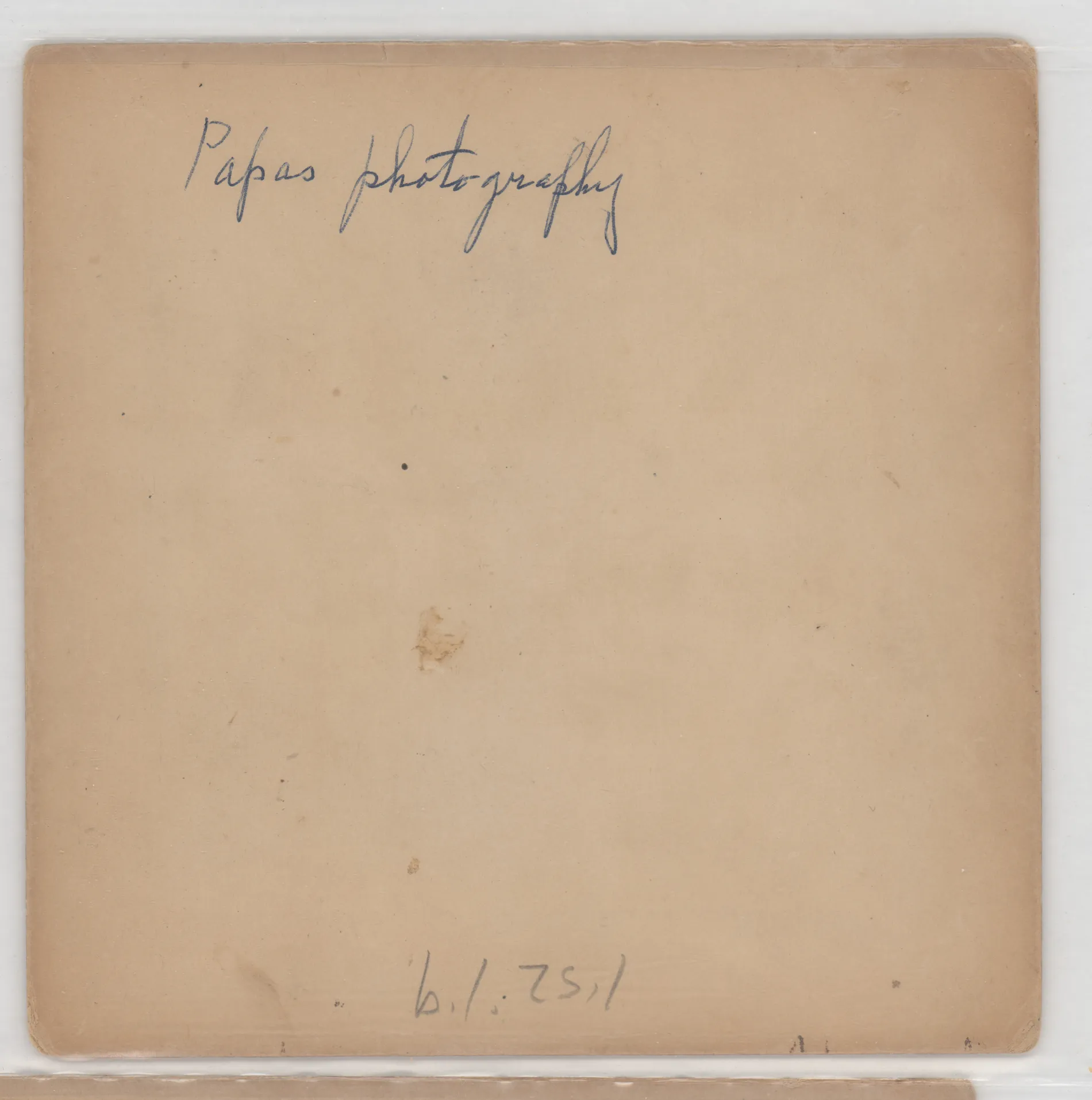 Verso: [Fish from Austin Swann hunting trip]