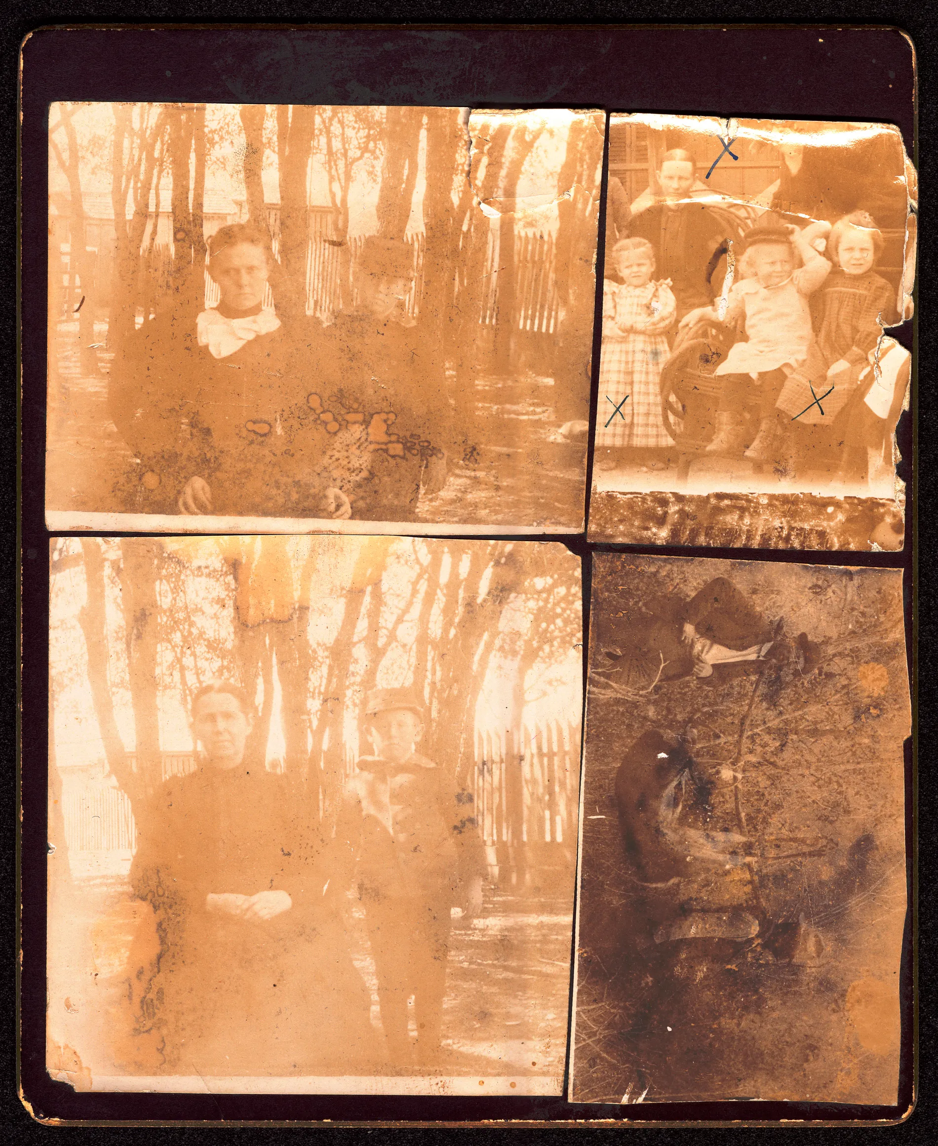 Color enhanced version: [Swann collage showing several Swann family members]