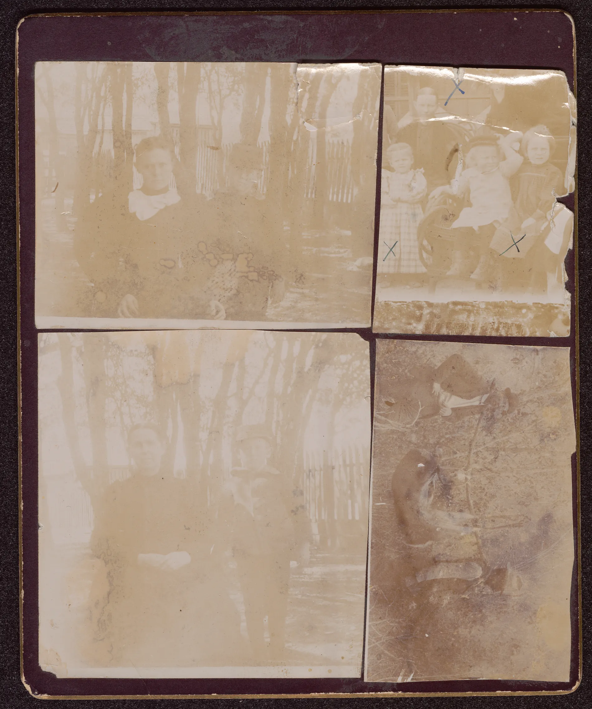 This collage shows four photogrpahs. The upper left photograph depicts two unknown children. The upper right photograph depicts Nannie Thomas Swann (seated) and Loveta and Minnie Swann each denoted by an 'x'. The lower left photograph shows a seated woman who I believe is Nancy C. Atkinson Swann and an unknown boy. The lower right photograph shows two men with a shot and hung deer.