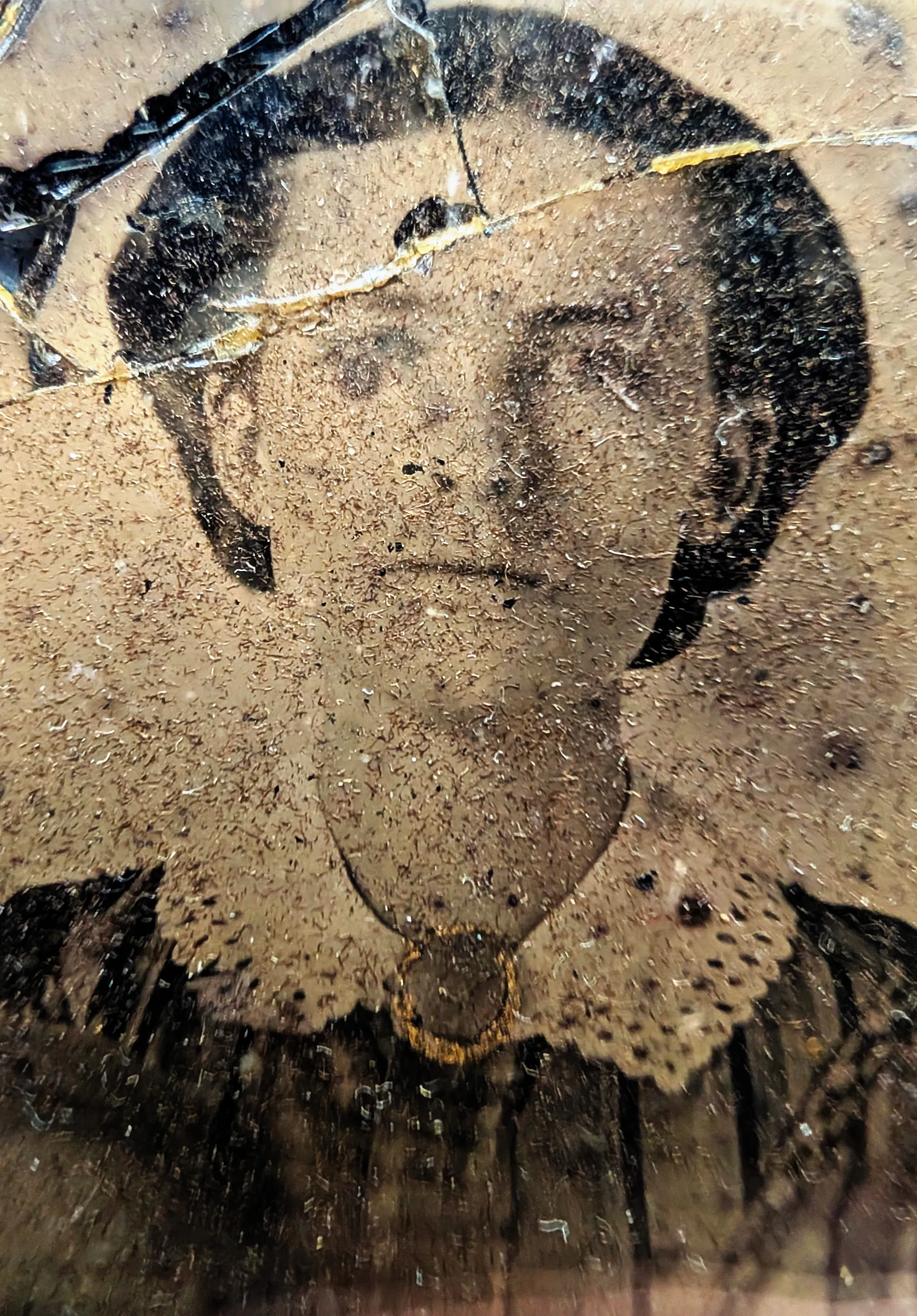 Nancy, close up: [Nancy Swann and Annie Swann]