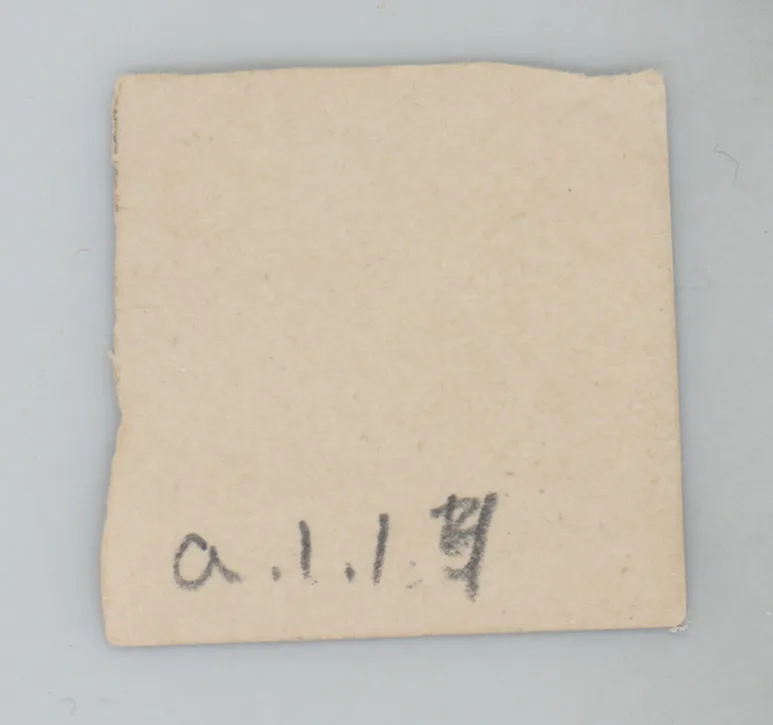 Verso: [Arthur Waddle and unnamed friend]